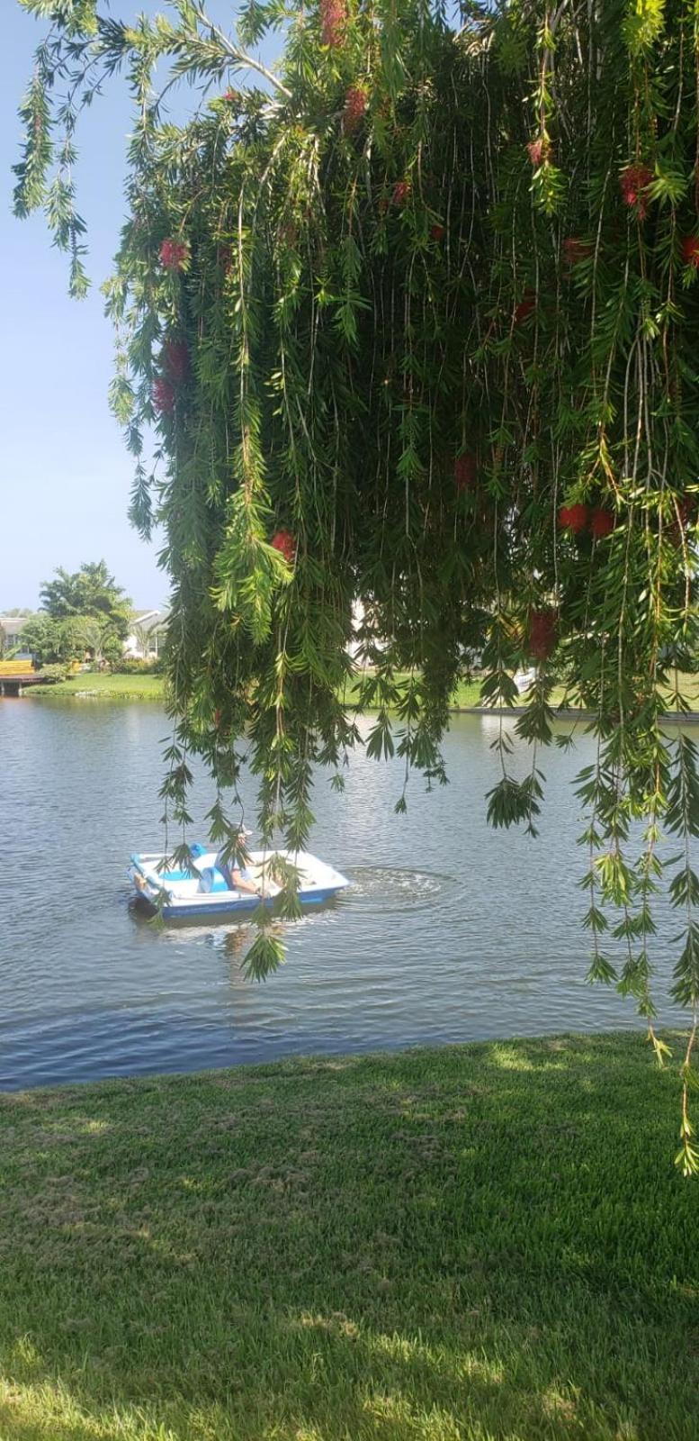 Near Clearwater And Tarpon Spring With Water View Apartment Holiday City Luaran gambar