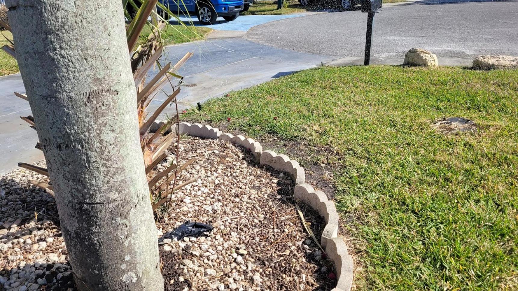 Near Clearwater And Tarpon Spring With Water View Apartment Holiday City Luaran gambar